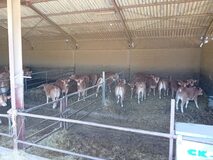 Galerie photo Visite des 5B